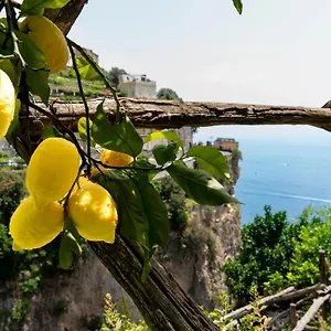 La Pergola Hotel